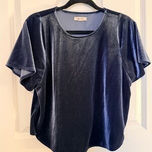 Madewell Velvet Butterfly Tee